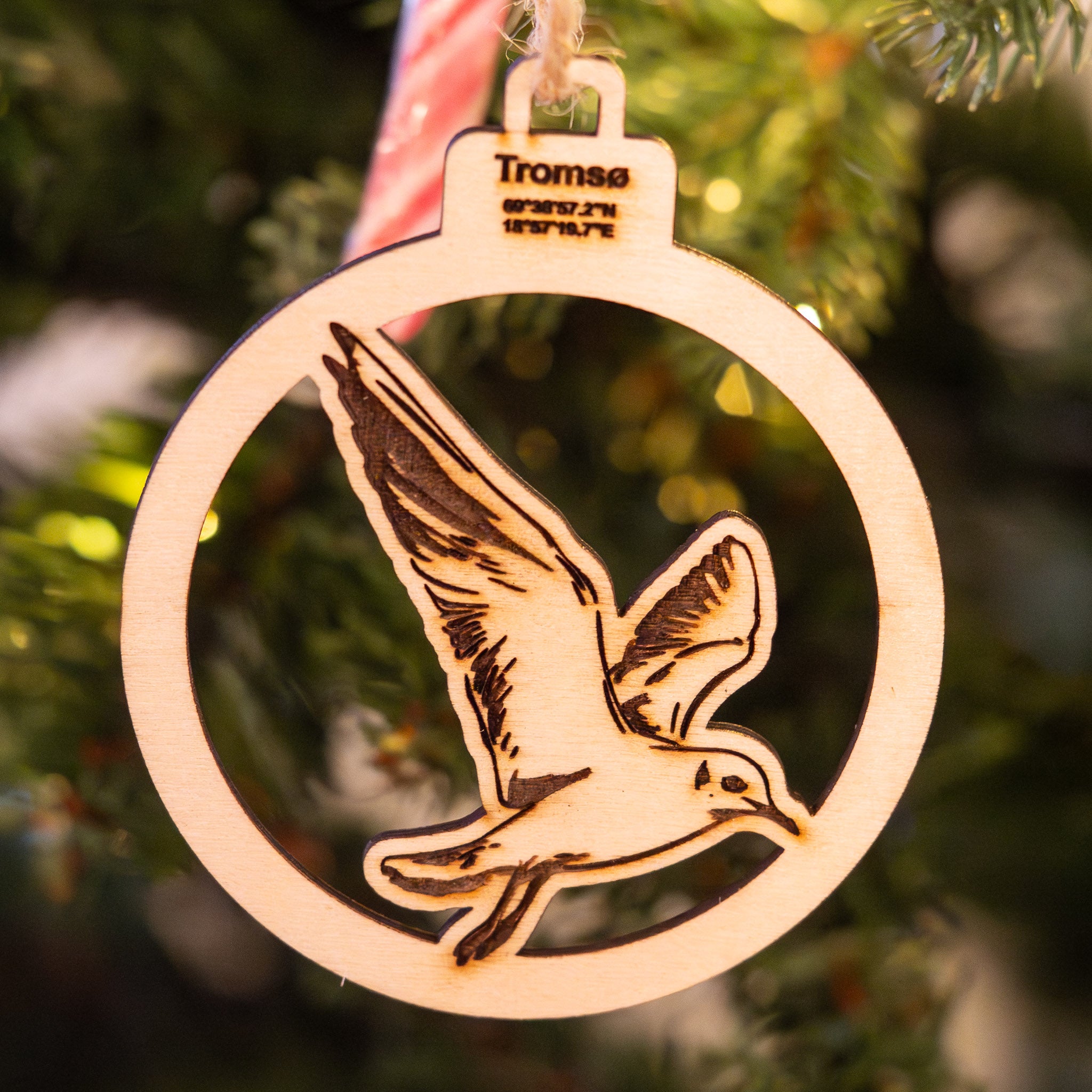 Flyvende fiskemåkekule