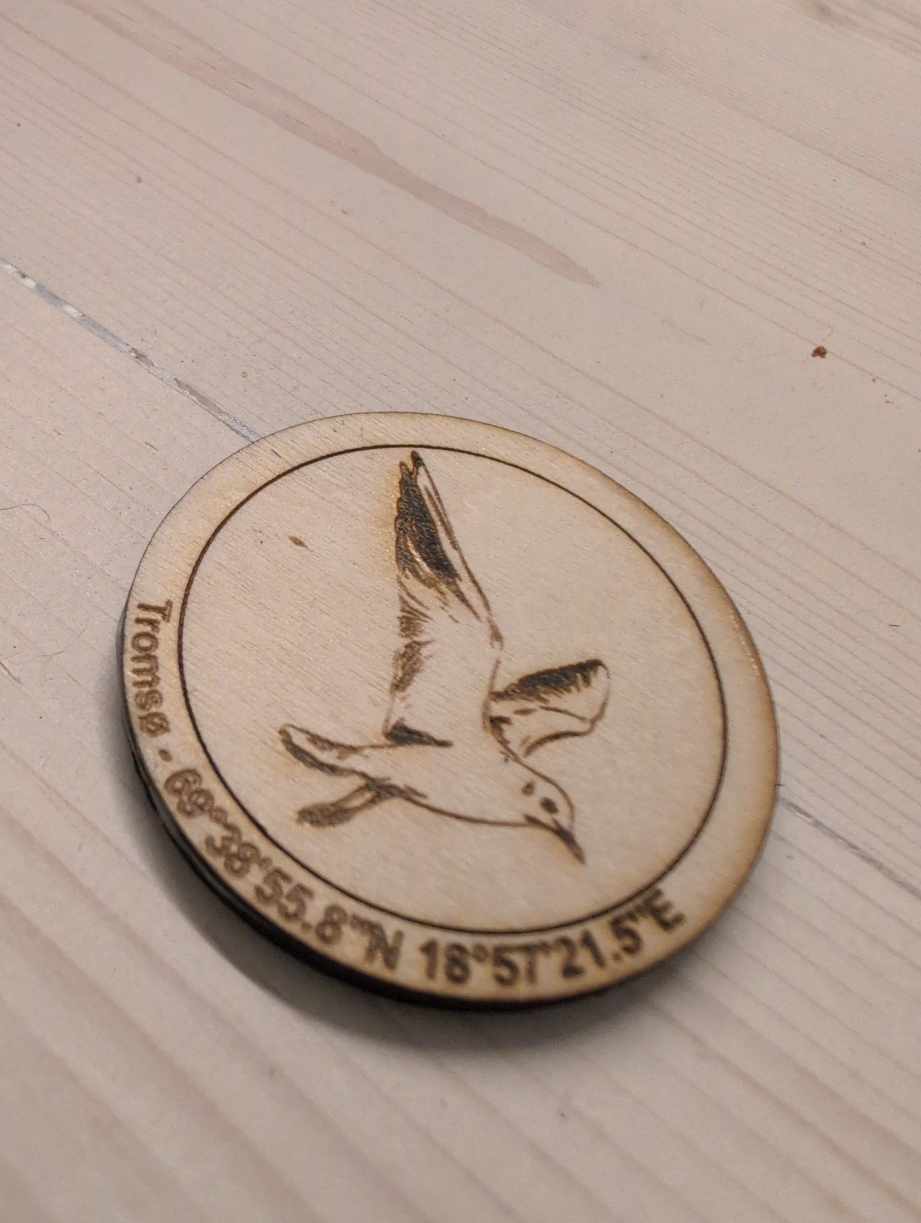 Kjøleskapsmagneter Fra Rist